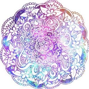 Meet your Posher, Zany